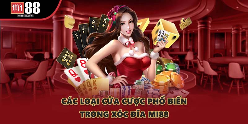 Các loại cửa cược phổ biến trong Xóc Đĩa MI88