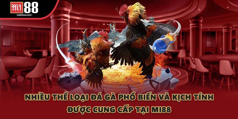 Nhiều thể loại đá gà phổ biến và kịch tính được cung cấp tại MI88