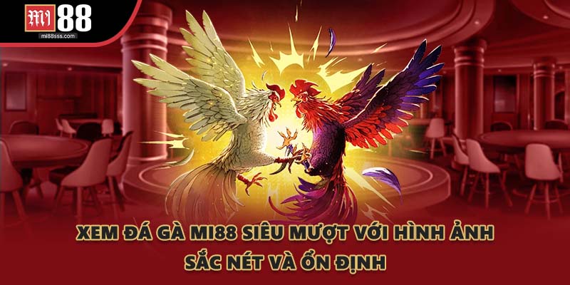 Xem đá gà MI88 siêu mượt với hình ảnh sắc nét và ổn định